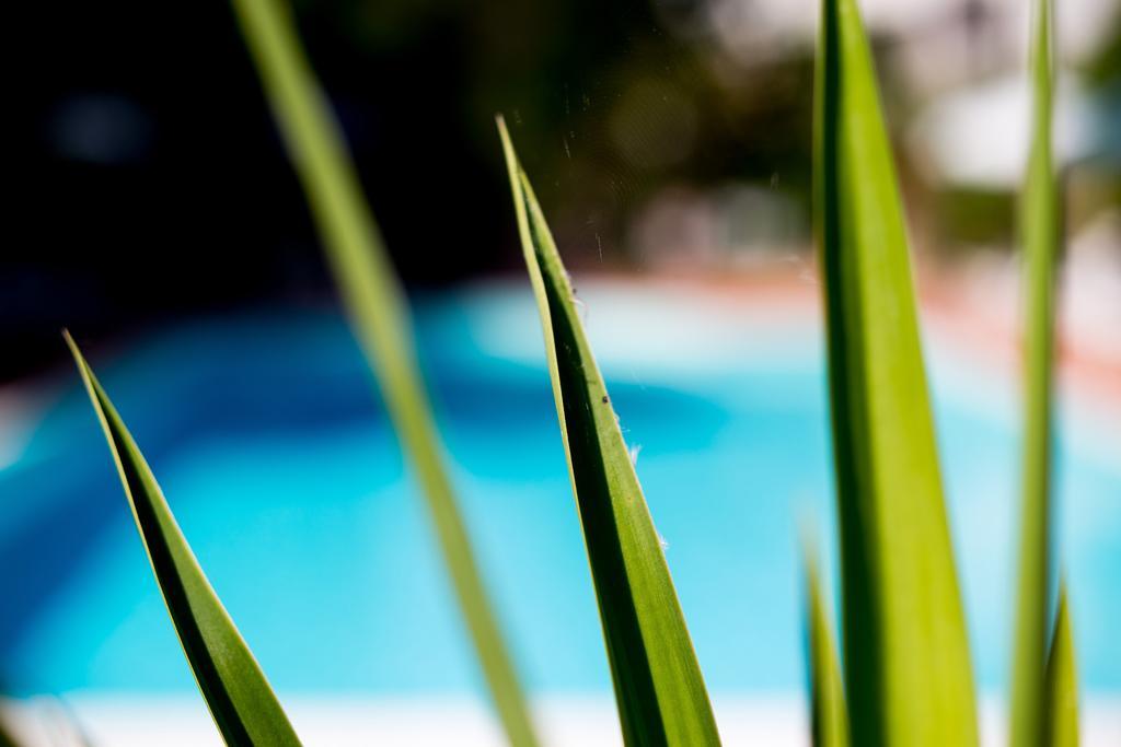 Hotel Le Rocce Magione Eksteriør billede